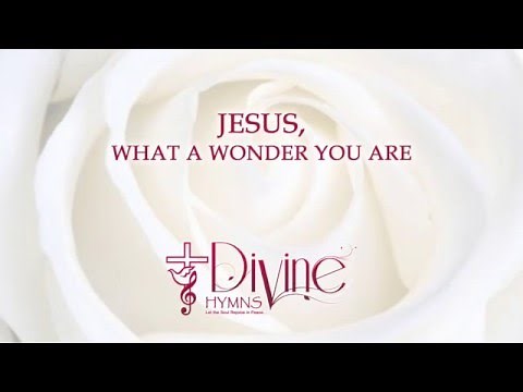 Jesus, What A Wonder You Are - Divine Hymns - Lyrics Video