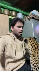 Best Tiger Video Tigers With Me 🐅 | Amazing Tiger EncounterWalking With Tigers 🐅 | Real-Life