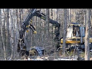 Balanced Forestry tour