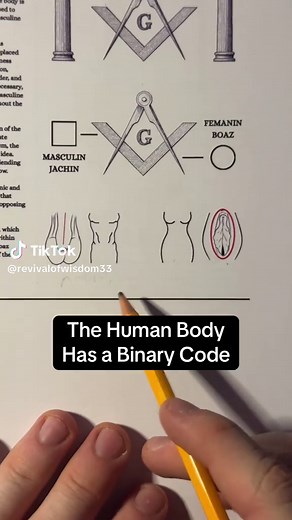 El Código Binario Detrás de la Realidad Humana