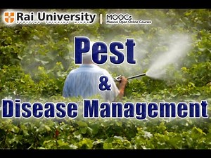 Pest & Disease Management - Basics of Gardening