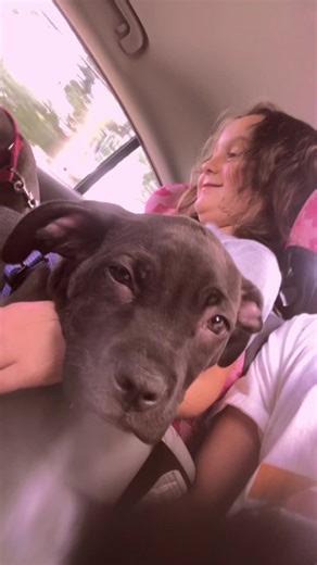 Michael Costa (@michaelcosta90)’s videos with original sound - Michael Costa