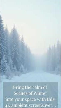 Winter 4K ❄️ Calm Snow Landscapes | Screensavers, Wallpapers & Wall Art