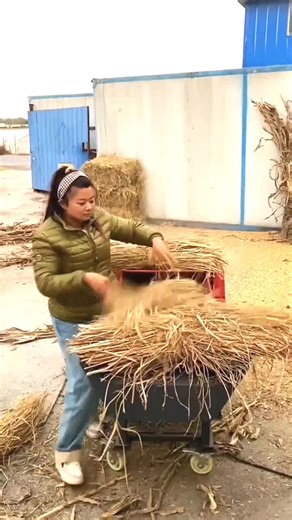 Chaff cutter machine #farmmachinery #agriculture #sifmachinery #machinefactory #chaffcutter