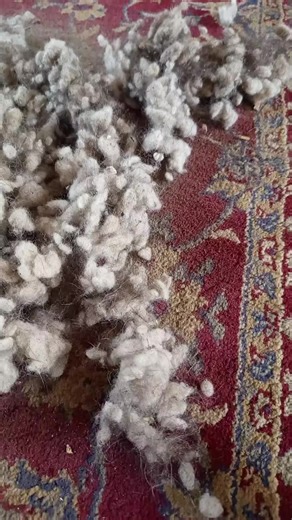 Understanding Vacuum Therapy: Part 1