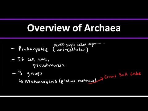A Quick Overview of Archaea