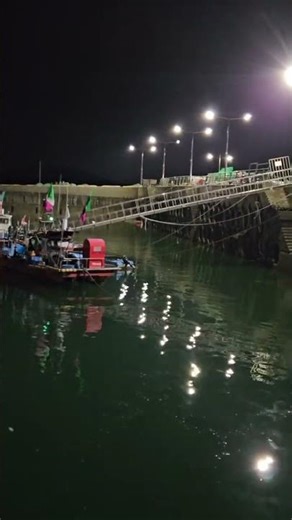 🚢밤바다‼️깜빡깜빡거리는 불빛 멍때리기🌟저건..📮?👀 #간월도#자연#nature#멍때리기#겨울바다 #relaxing#서해#배#밤바다#밤편지#아이유#항구#불빛#lights#조명