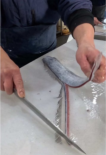 太刀魚ヒレ抜きの技術と観光スポット