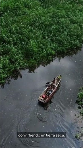 El amazonas se está muriendo... #naturaleza #seguimiento#lago