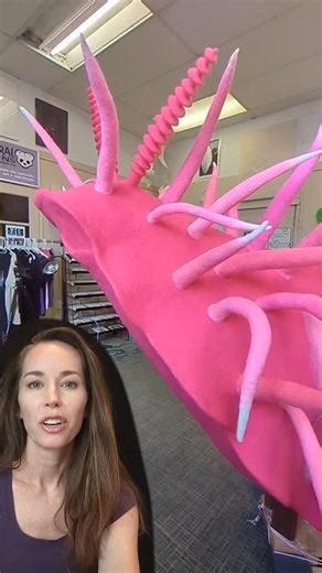 Sometimes people get scared to try things, freezing up at the idea of a blank page or a blank canvas. I think re-framing the creative process as problem-solving really helps me get past that and into a more open-minded experimental place where I don't have to have all the answers. It's good to start with the questions. At my talk next week at @cannonballarts in Seattle I'll be sharing the journey of making the huge rideable felted wool nudibranch, and dropping pearls of wisdom....or at least tal