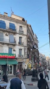 champion 2024 | MC ALGER FANS