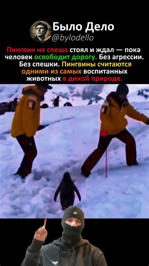 УМЕЕТ ЖДАТЬ