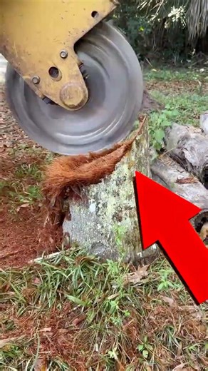 WAIT… this machine literally makes a tree stump disappear in seconds 😳