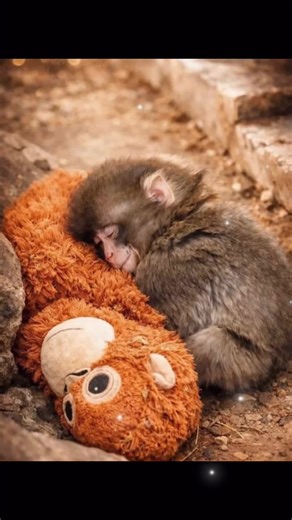 Adorable Baby Monkey Plays and Punches: A Cute Moment