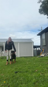 164K views · 2.3K reactions | Just some drills with Mr boss. Love him more than life  | Balanced K9 Training | Facebook