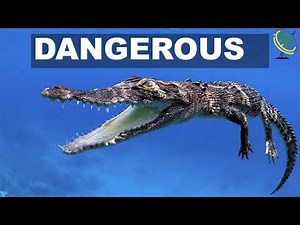 ADJECTIVES VOCABULARY