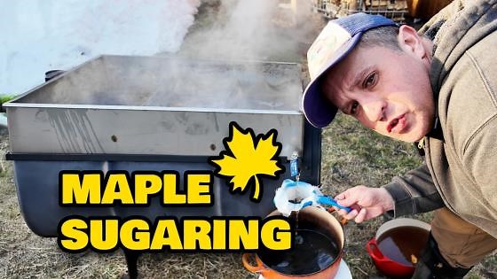DIY Maple Syrup Guide: From Tree Sap to Pancakes