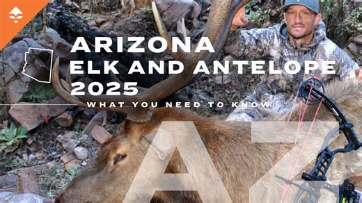 Arizona elk and antelope hunting application tips that will change your season // GOHUNT. The Hunting Company