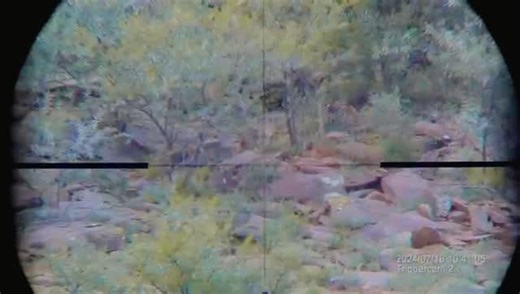 Triggercam - Ulimate shooting accessory on Instagram: "Because some moments deserve more time. Relive it frame by frame with every moment captured • When time slows, detail speaks • Precision in every frame #triggercam #relivethemoment #hunting #smarttechnology #realaction"