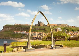 Whitby Whalebones