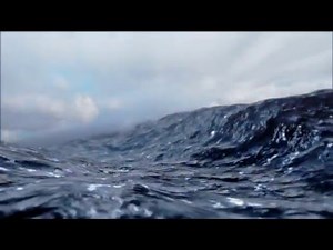 Mako | SeaWorld Orlando