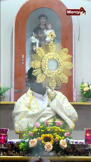 “Blessed by the Eucharist 🙏 | Sacred Adoration”