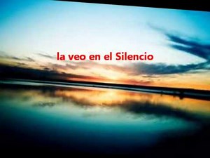 Sonidos del Silencio, KARAOKE