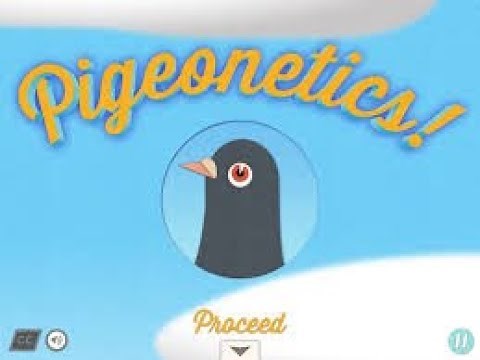 Pigeonetics