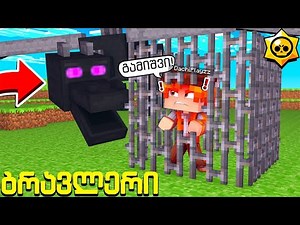 სად გამოკეტა დრაკონმა ბრავლერები მაინკრაფტში?! ბრავლერი #71