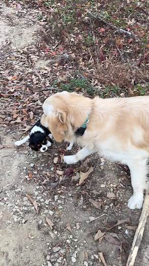 A very blessed 2023, let’s pray that 2024 is even better 🩵 | Our Life Adventures