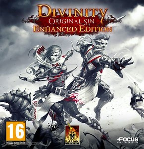 Divinity Original Sin - Enhanced Edition para PC - PS4 - Xbox One - Mac | 3DJuegos