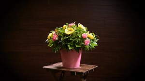 Joyful Celebrations centerpiece with guaranteed delivery by Easter - only $49.95!! | Lynch Creek Wreaths
