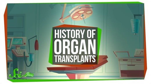 The messy path to the first successful organ transplants