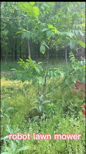 Zero Turn Lawn Mower Tractor Widely Used Superior Quality Smart Commercial Electrical Robot Lawn Mower