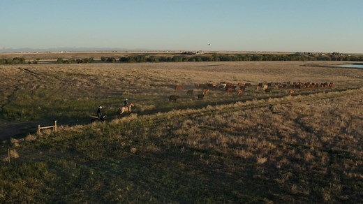 2K reactions · 174 shares | Are you ready to have premium grassfed...