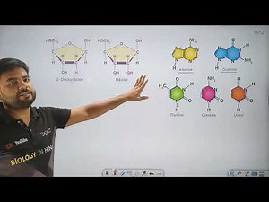 Structure Of DNA | DNA की संरचना | आनुवंशिक पदार्थ DNA | Genetic material DNA | Biology in hindi