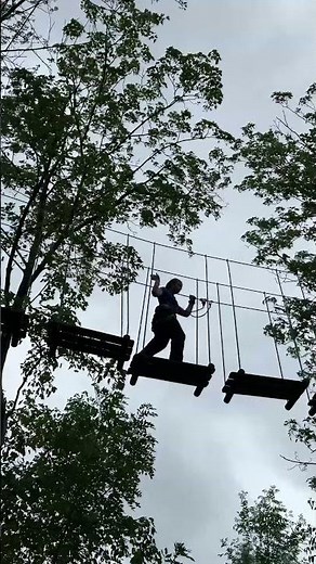 Climbing High at Go Ape! 🌳🧗‍♂️ Jude & Ralph Take on the Trees!