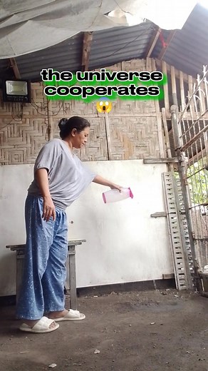 1.1K views · 31 reactions | Mini tree SPROUT when you water the floor藍and the universe cooperates #EditMagic #MagicEdit #watermagic #staycreative #wednesday | Vivian Aclan Vegafria | Facebook