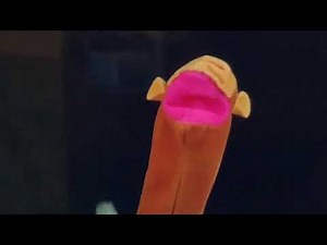 Baby Einstein baby Shakespeare Janes first snow