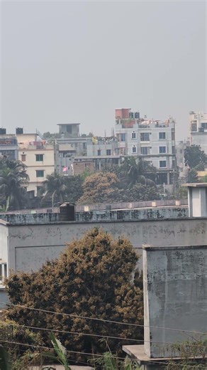 Google pixel 8 pro zoom test