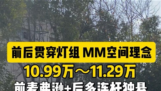 前后贯穿灯组本田MM设计理念限时售价10.99～11.29万#HRV向上为更大的世界 #CRV亲兄弟HRV #超锋锐才叫HRV #交车仪式只是您享受服务的开始