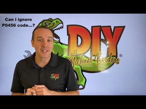 Can I ignore P0456 engine code?