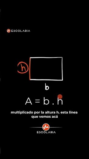 Area of ​​a rectangle