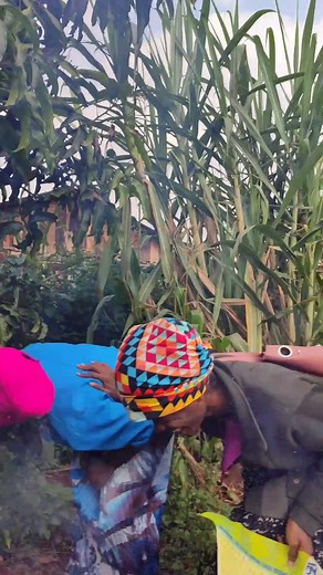 Dada Sarah Behind The Scenes Videos Compilation