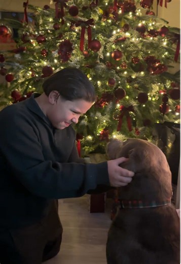 The Magic of Christmas with Family and Dogs