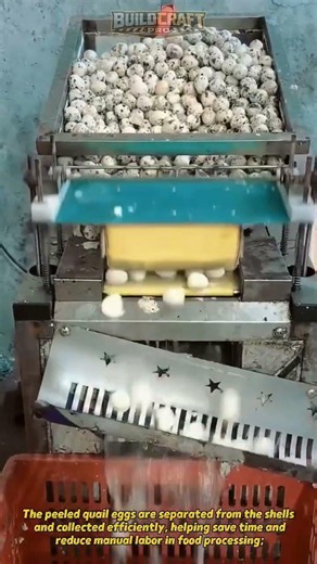 Automatic Quail Egg Peeling Machine #shorts #foodtech #automation