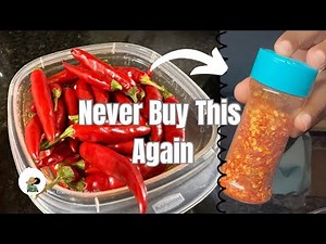 How to Make Cayenne Pepper Flakes at Home | Dehydrator Method (Garden to Kitchen)