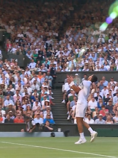 Novak Djokovic Live at Wimbledon: A Tennis Spectacle