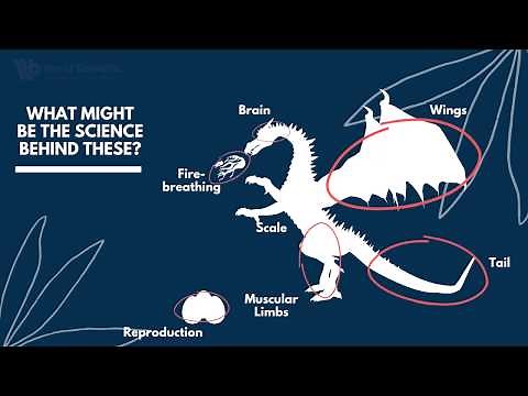 Can you Build a Dragon? | A look into Gene Editing and Bioengineering