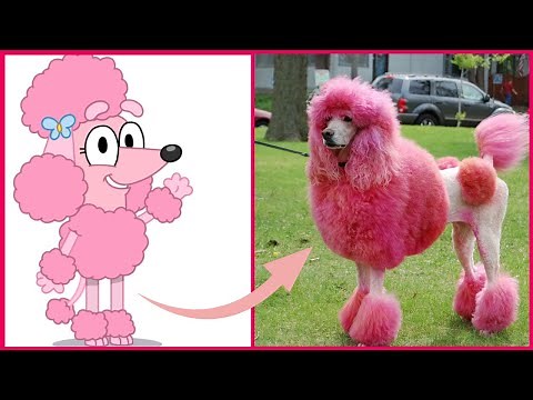 Bluey 🔥 In Real Life All Characters 😱